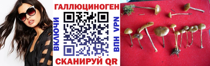 цена наркотик  Иннополис  Псилоцибиновые грибы Psilocybe 